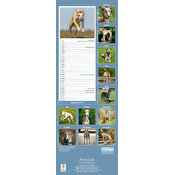 Calendrier Etroit Slim 2027 Greyhound Calendrier papier 2027 Greyhound