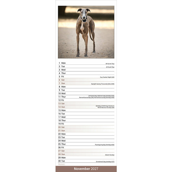 Calendrier Etroit Slim 2027 Greyhound Calendrier Mural 2027 Greyhound