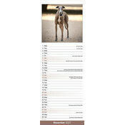 Calendrier Etroit Slim 2027 Greyhound Calendrier Mural 2027 Greyhound