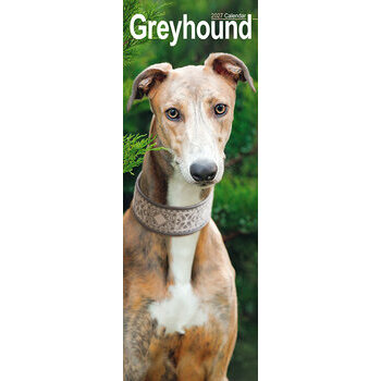 Calendrier Etroit Slim 2027 Greyhound