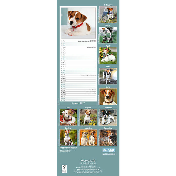 Calendrier Etroit Slim 2027 Jack Russell Calendrier Etroit 2027 Jack Russell