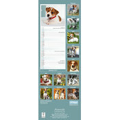 Calendrier Etroit Slim 2027 Jack Russell Calendrier Etroit 2027 Jack Russell