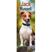 Calendrier Etroit Slim 2027 Jack Russell Calendrier Mural Etroit 2027 Jack Russell