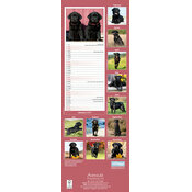 Calendrier Etroit Slim 2027 Labrador Noir Calendrier Etroit 2027 Labrador Noir