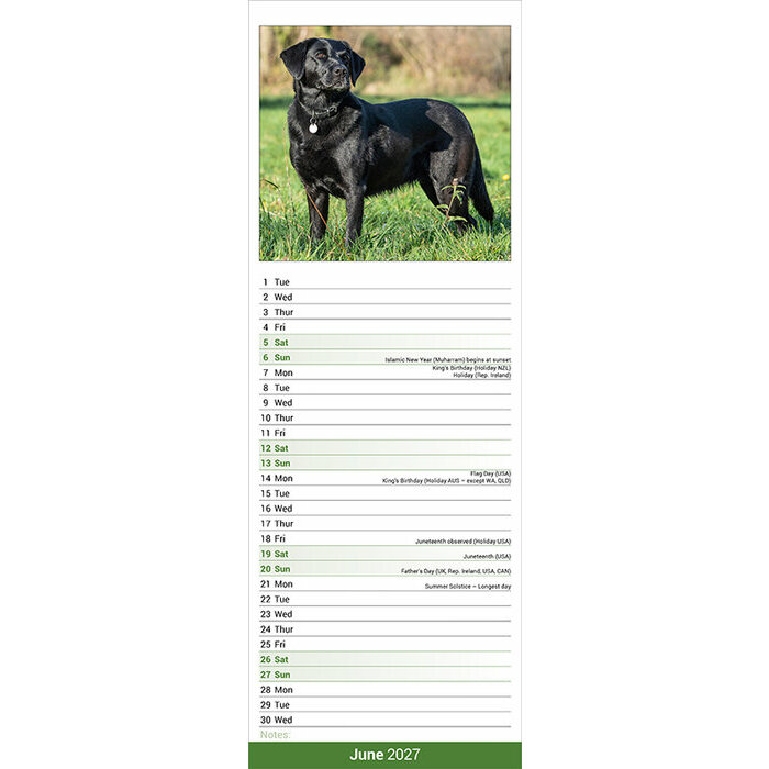 Calendrier Etroit Slim 2027 Labrador Noir Calendrier Etroit mural 2027 Labrador Noir