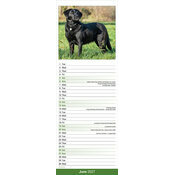 Calendrier Etroit Slim 2027 Labrador Noir Calendrier Etroit mural 2027 Labrador Noir