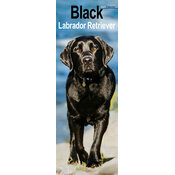 Calendrier Etroit Slim 2027 Labrador Noir Calendrier Etroit Slim 2027 Labrador Noir