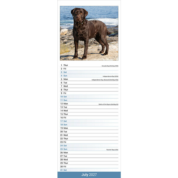 Calendrier Etroit Slim 2027 Labrador Chocolat Calendrier mural Slim Labrador Chocolat 2027
