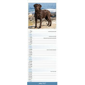 Calendrier Etroit Slim 2027 Labrador Chocolat Calendrier mural Slim Labrador Chocolat 2027