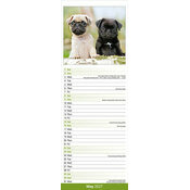 Calendrier Etroit Slim 2027 Carlin Pug Calendrier papier 2027 Labrador Sable