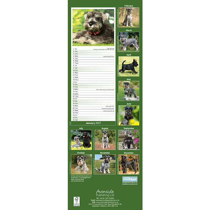 Calendrier Etroit Slim 2027 Schnauzer Calendrier Mural slim Schnauzer 2027