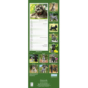 Calendrier Etroit Slim 2027 Schnauzer Calendrier Mural slim Schnauzer 2027