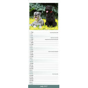 Calendrier Etroit Slim 2027 Schnauzer Calendrier Mural papier Schnauzer 2027