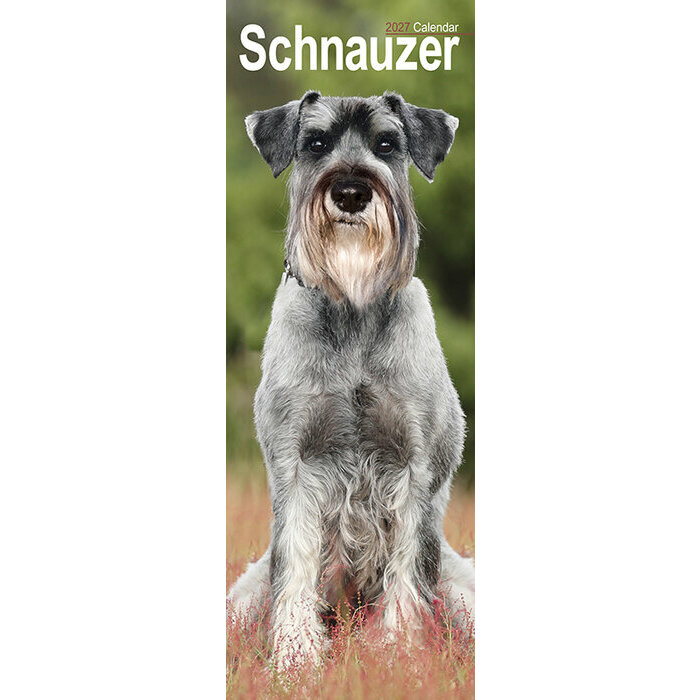 Calendrier Etroit Slim 2027 Schnauzer Calendrier Mural Schnauzer 2027