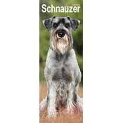 Calendrier Etroit Slim 2027 Schnauzer Calendrier Mural Schnauzer 2027