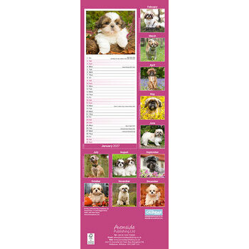 Calendrier Etroit Slim 2027 Shih Tzu