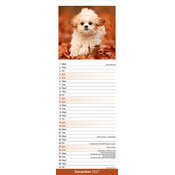 Calendrier Etroit Slim 2027 Shih Tzu Calendrier Slim 2027 mural Shih Tzu