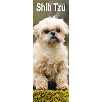 Calendrier Etroit Slim 2027 Shih Tzu