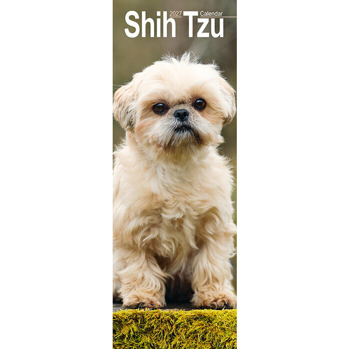Calendrier Etroit Slim 2027 Shih Tzu Calendrier Slim 2027 Shih Tzu