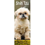 Calendrier Etroit Slim 2027 Shih Tzu Calendrier Slim 2027 Shih Tzu