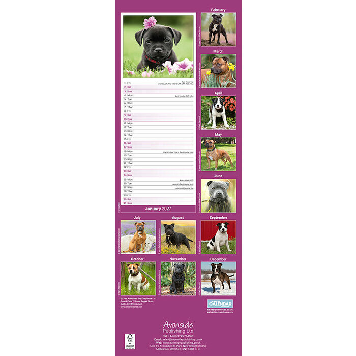 Calendrier Slim mural Staffordshire Bull Terrier 2027