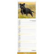 Calendrier Slim papier Staffordshire Bull Terrier 2027