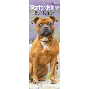 Calendrier Etroit Slim 2027 Staffordshire Bull Terrier