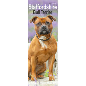 Calendrier Slim Staffordshire Bull Terrier 2027