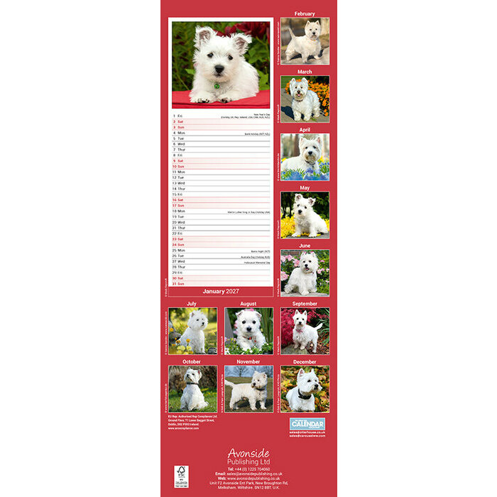 Calendrier Etroit Slim 2027 West Highland Terrier Calendrier papier Slim Westie 2027