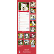 Calendrier Etroit Slim 2027 West Highland Terrier Calendrier papier Slim Westie 2027