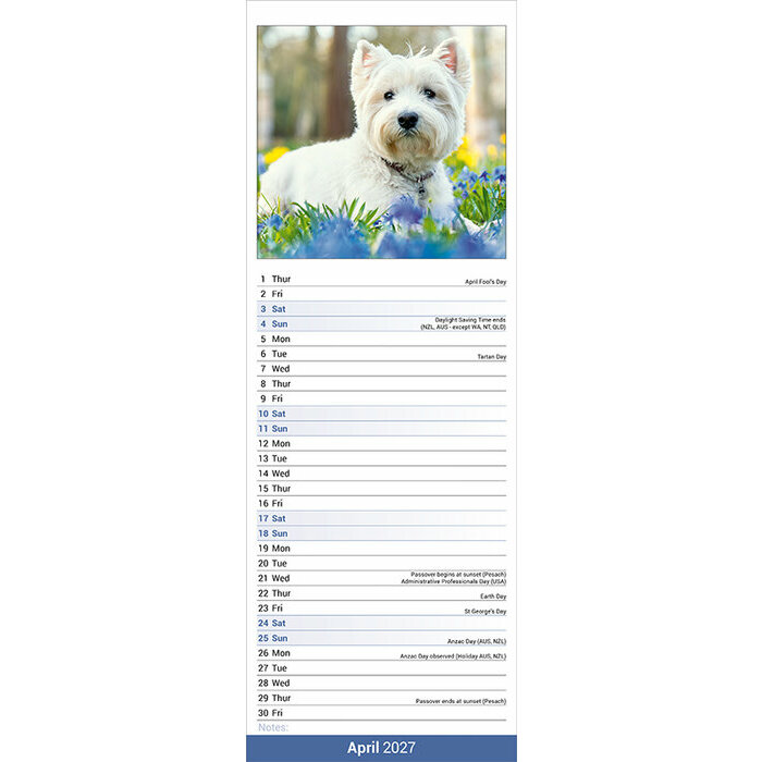 Calendrier Etroit Slim 2027 West Highland Terrier Calendrier mural Slim Westie 2027