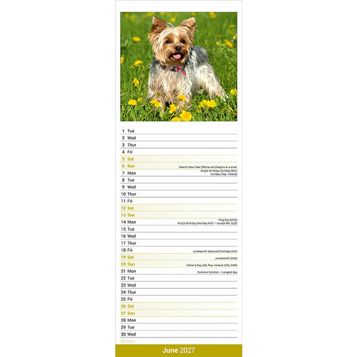 Calendrier Etroit Slim 2027 Yorkshire Terrier Calendrier 2027 Yorkshire Terrier