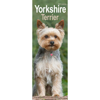 Calendrier Etroit Slim 2027 Yorkshire Terrier