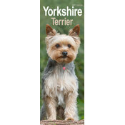 Calendrier Etroit Slim 2027 Yorkshire Terrier Calendrier Slim 2027 Yorkshire Terrier