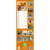 Calendrier Etroit Slim 2027 Animaux de la forêt Calendrier Slim papier Animaux Cerf 2027