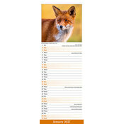 Calendrier Etroit Slim 2027 Animaux de la forêt Calendrier Animaux Cerf 2027