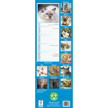 Calendrier Etroit Slim 2027 Chats