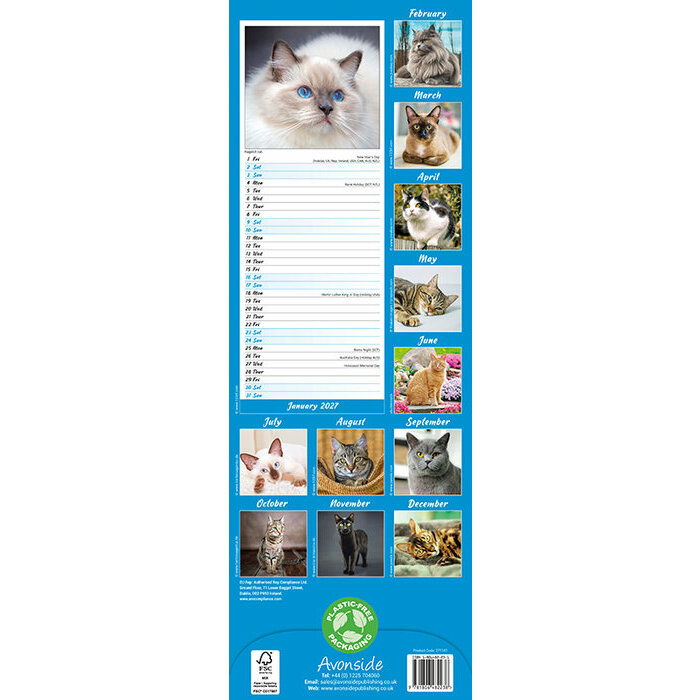 Calendrier Mural papier 2027 Chats Chat