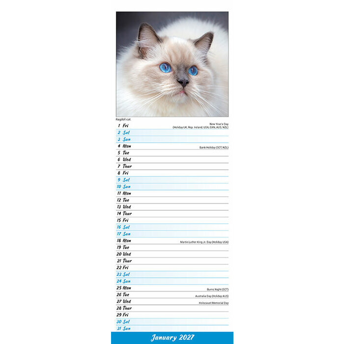 Calendrier  2027 Chats Chat