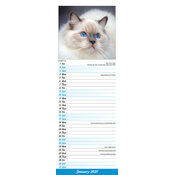 Calendrier  2027 Chats Chat