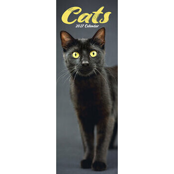 Calendrier Etroit Slim 2027 Chats