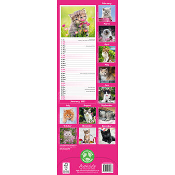 Calendrier Etroit Slim 2027 Chatons