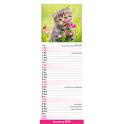 Calendrier mural 2027 Chatons