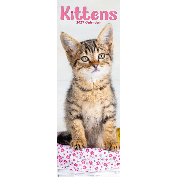 Calendrier Slim 2027 Chatons