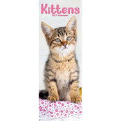Calendrier Slim 2027 Chatons