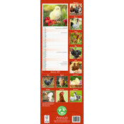Calendrier Mural papier Poule Rousse 2027