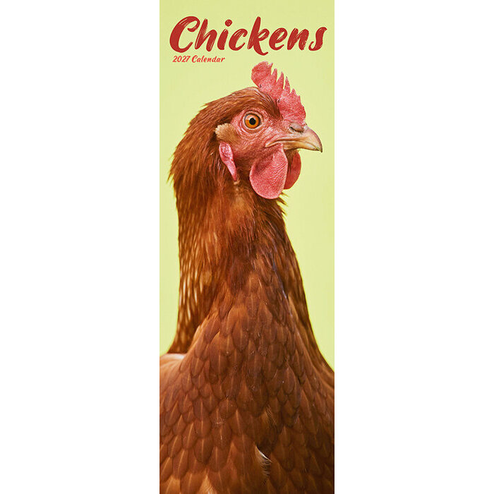 Calendrier Mural Poule Rousse 2027
