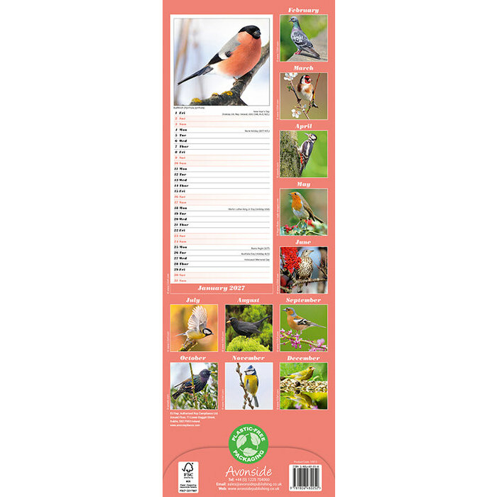 Calendrier Slim mural Oiseaux Chardonneret 2027