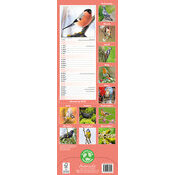 Calendrier Slim mural Oiseaux Chardonneret 2027