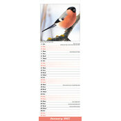 Calendrier Slim papier Oiseaux Chardonneret 2027